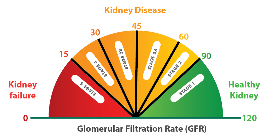 heat-map-five-stages-of-chronic-kidney-disease