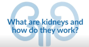 how-do-kidneys-work-video-logo