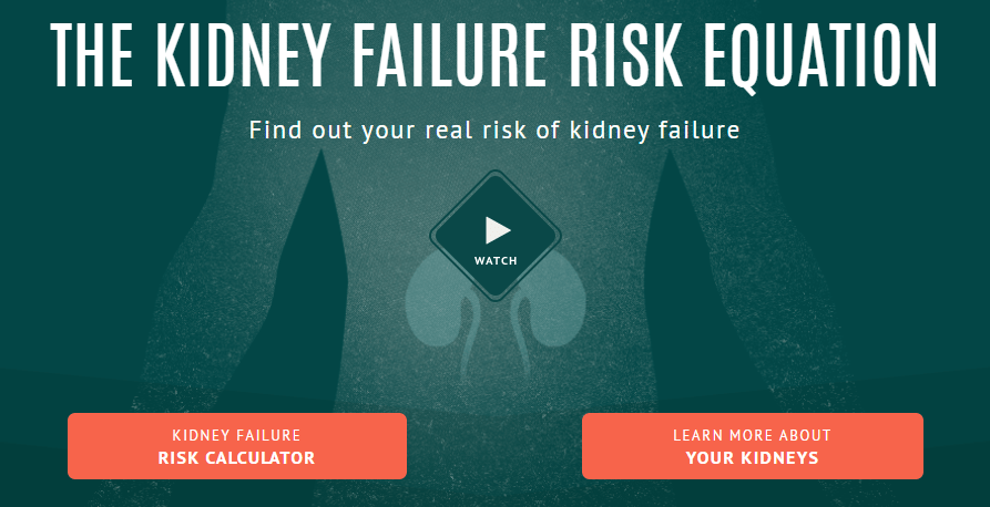 kidney-failure-risk-equation