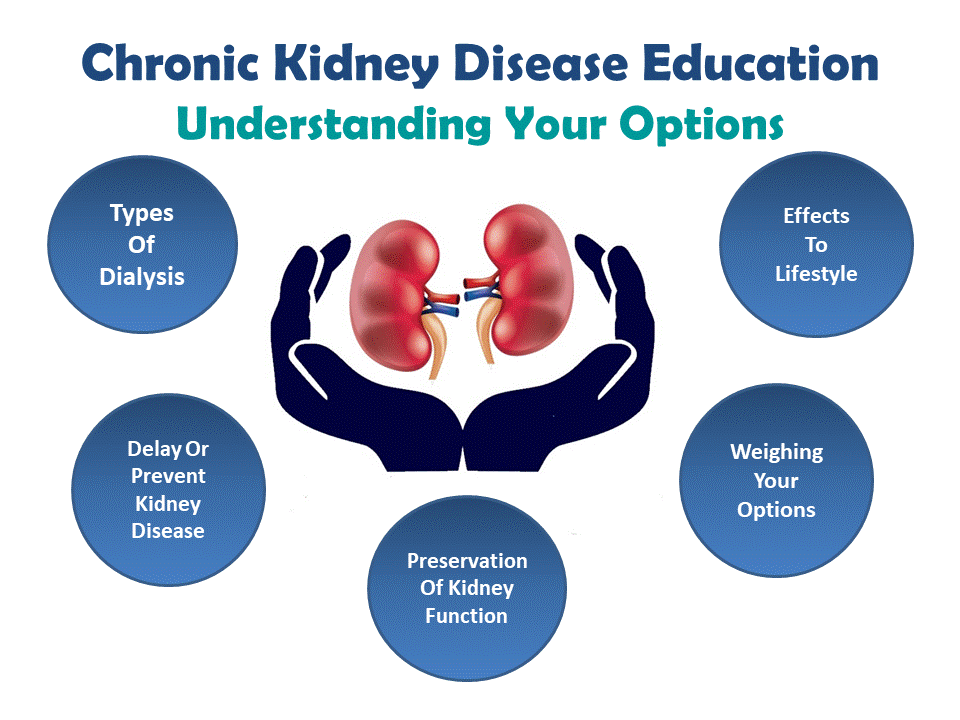 chronic kidney disease education