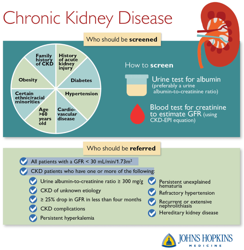 Chronic Kidney Disease John Hopkins Medicine