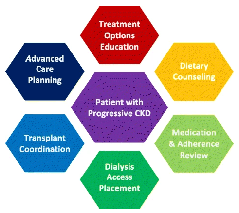 Domains of interdisciplinary chronic kidney disease care