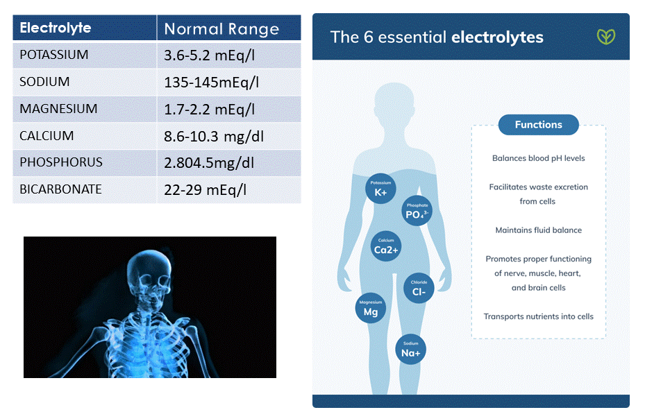 electrolyte mineral disorder